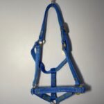 Bit Full Cheek Snaffle 5".