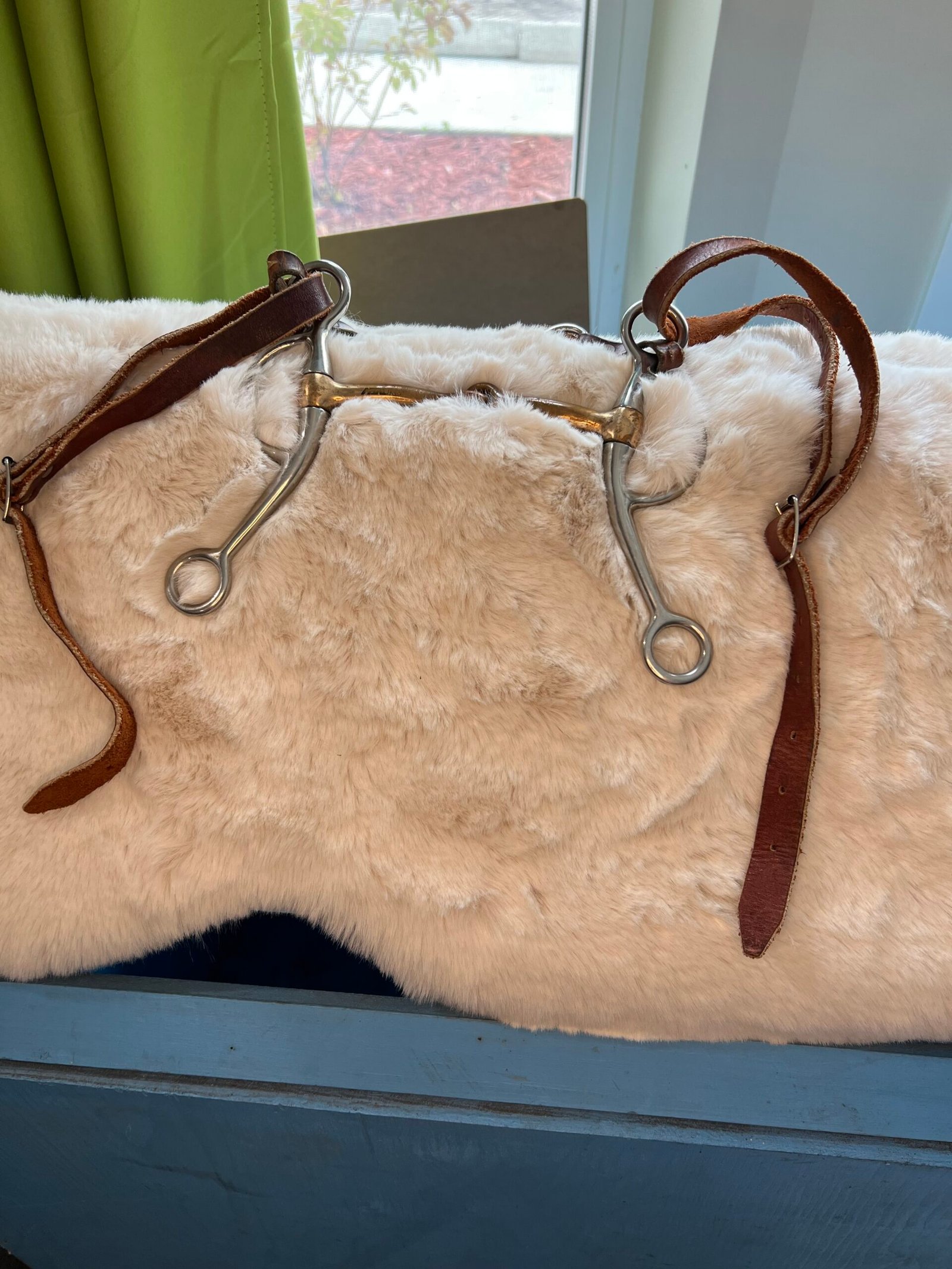 Bit #3 With chin Strap and Leather straps Bit #3 With chin Strap and Leather straps