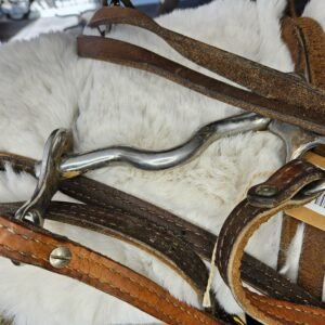 Bit and Reins #1