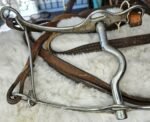 Bit and Reins #1