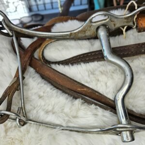 Bit and Reins #1
