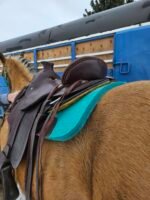 Blue River Saddle 6025
