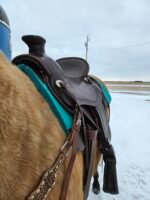 Blue River Saddle 6025