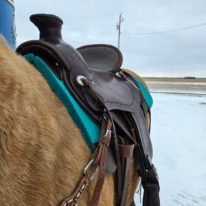 Blue River Saddle 6025