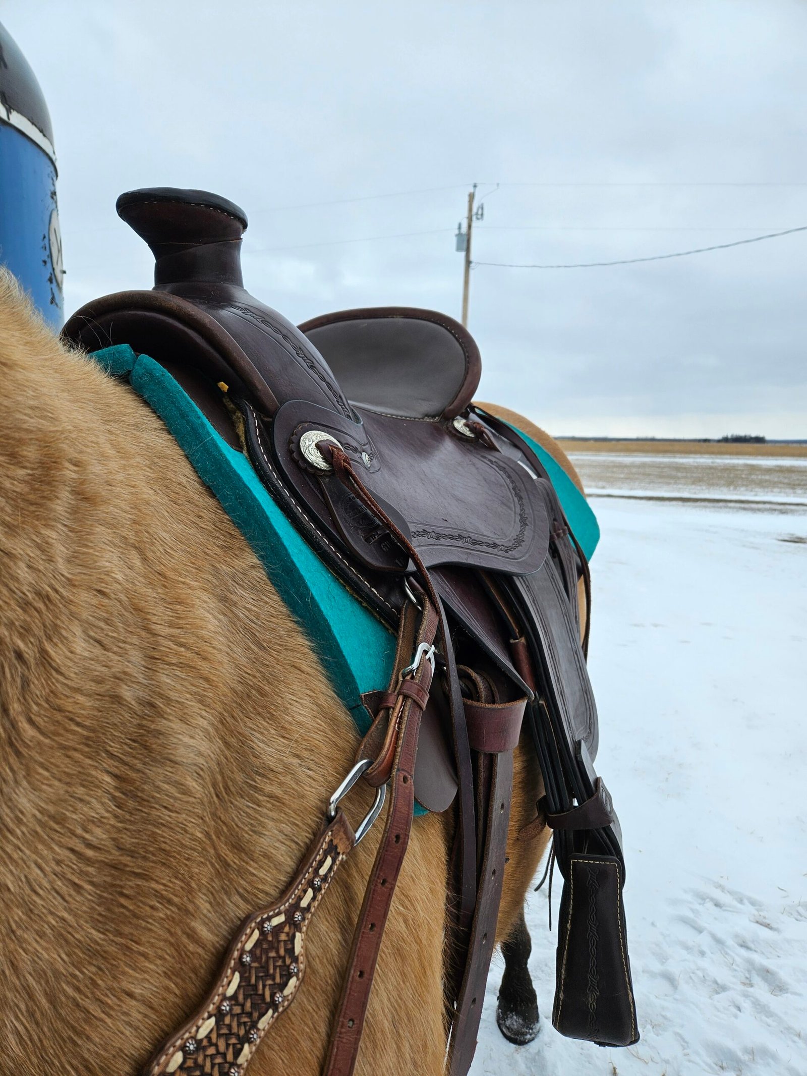 Blue River Saddle 6025 Blue River Saddle 6025