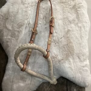 Bozel with Leather Headstall
