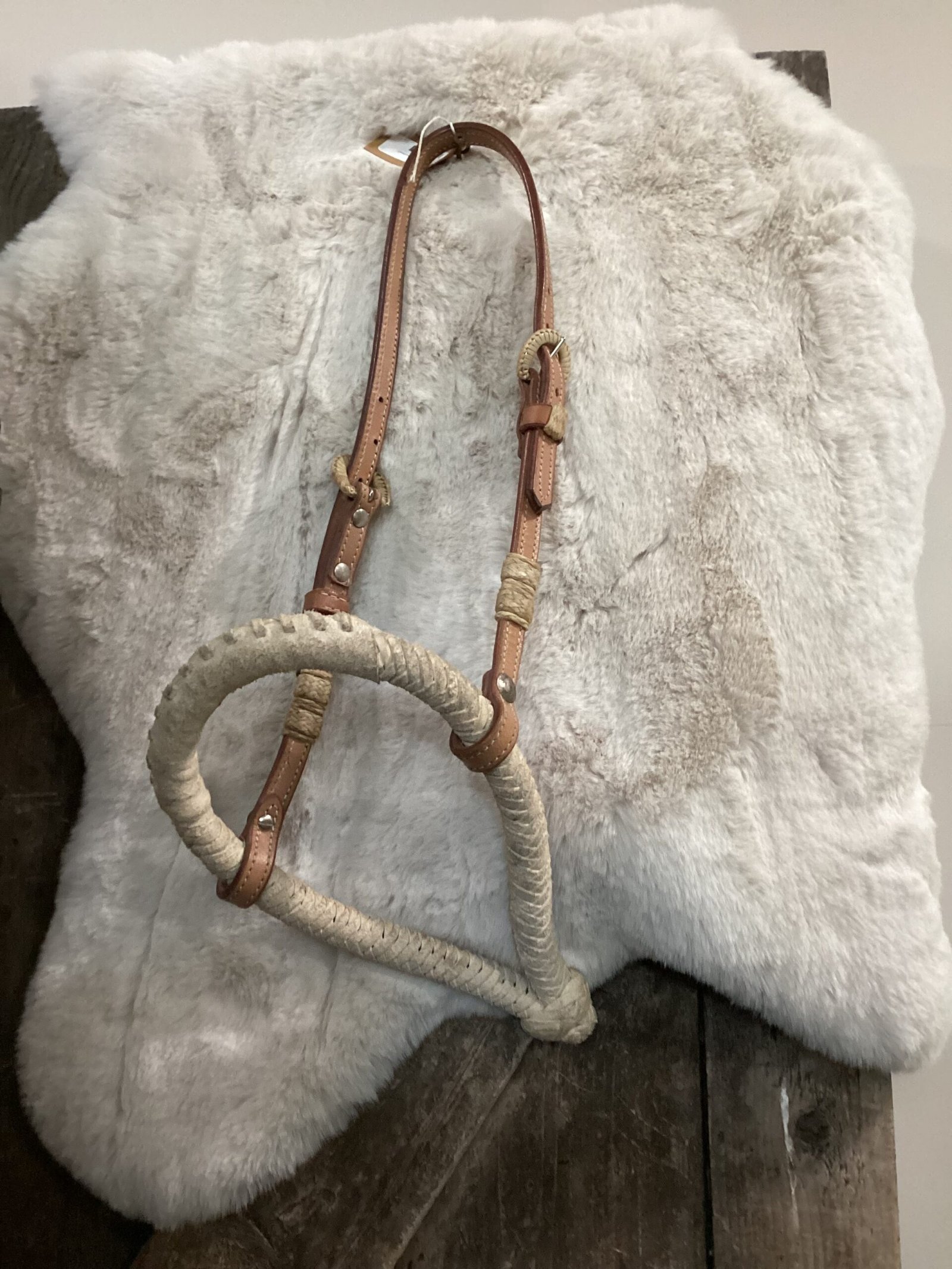 Bozel with Leather Headstall Bozel with Leather Headstall