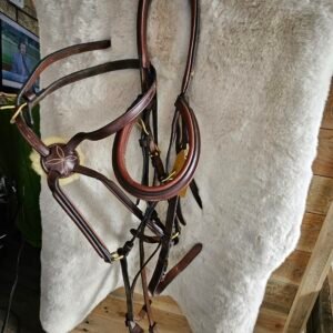 BR Figure 8 Briddle