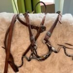 Bridle #1 Leather With Bit and Reins