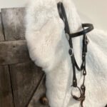 Bridle #2 Black