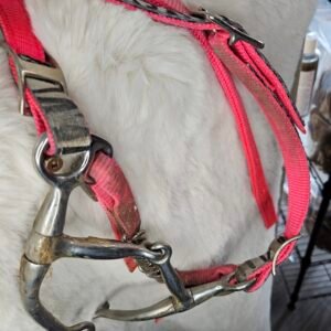 Bridle Pink Nylon with Bit