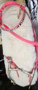 Bridle Pink Nylon with Bit