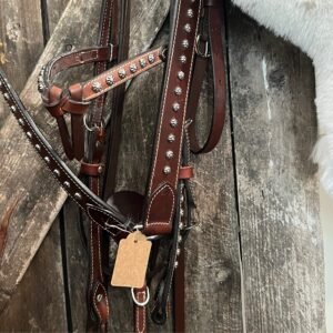 Bridle- Reines - Breastcollar Studed Brown