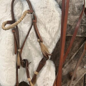 Bridle & Reins