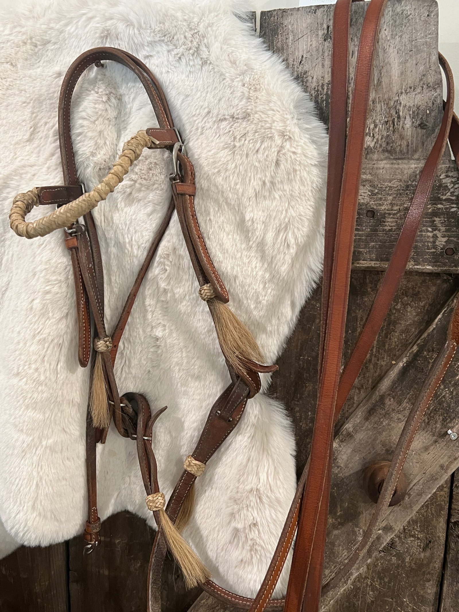 Bridle & Reins Bridle & Reins