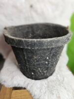 Bucket Black