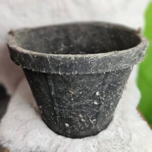 Bucket Black