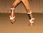 Cashmere Brown Bell Boots