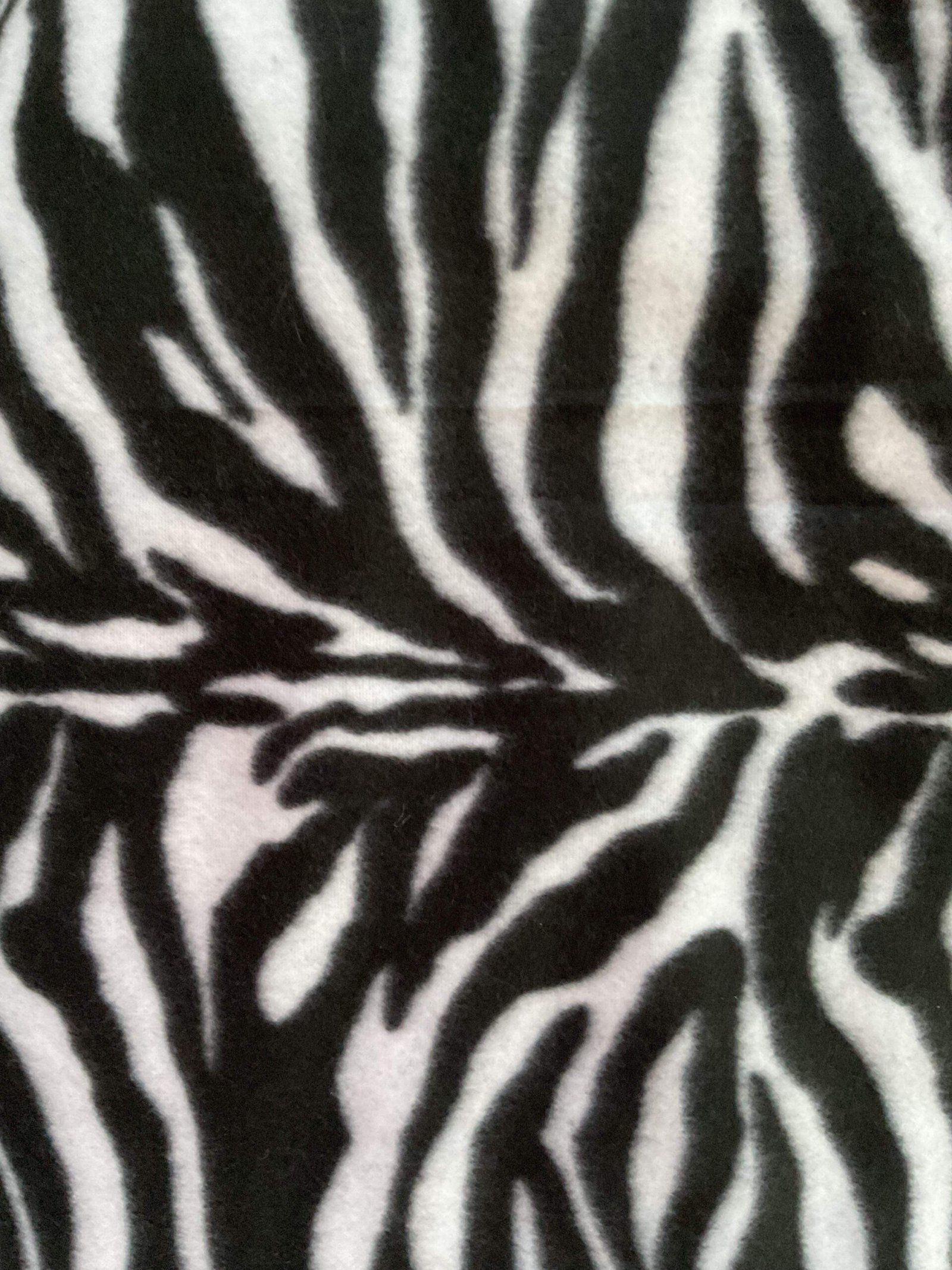 Cooler Zebra Print Medium With NecK Cooler Zebra Print Medium With NecK