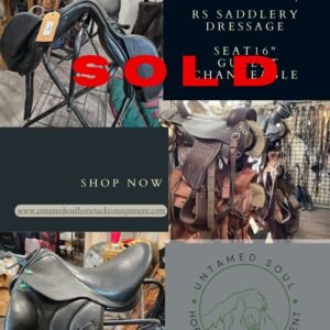 Dressage Saddle