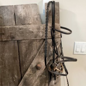 English Bridle Bit and Reins