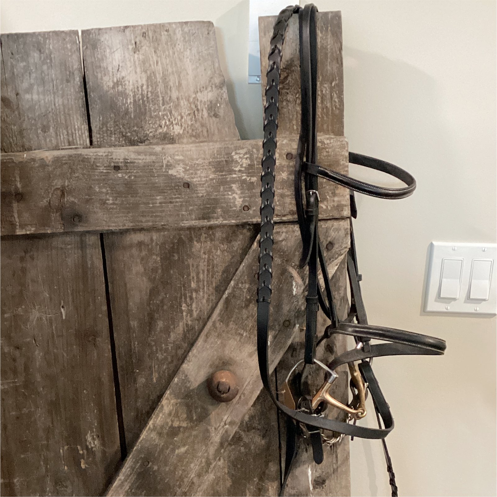 English Bridle Bit and Reins English Bridle Bit and Reins