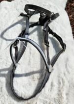 English Bridle Natural Horse