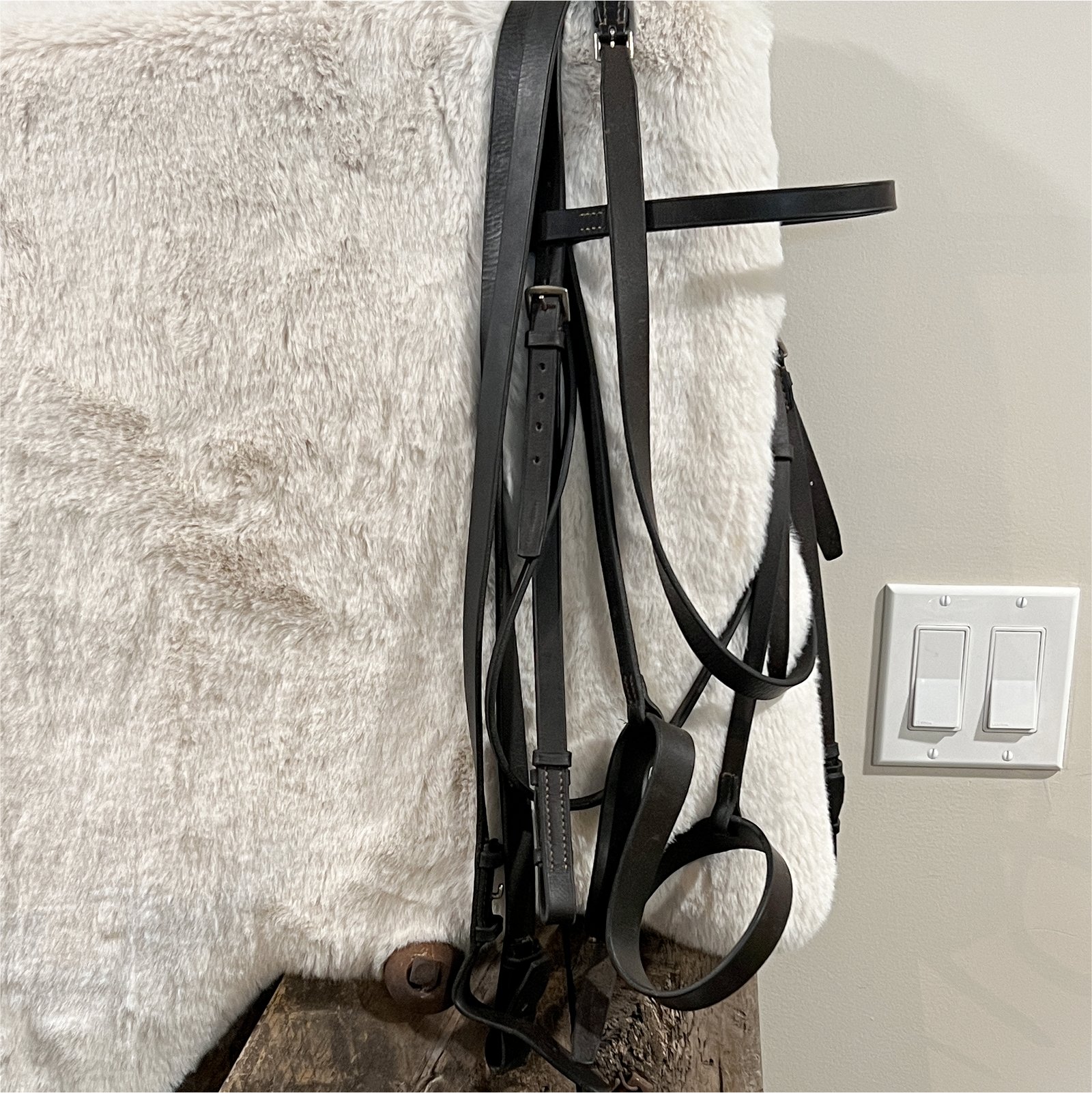 English Headstall and Reins English Headstall and Reins
