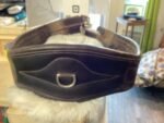 Girth Chetak Elastic at Both End 50"