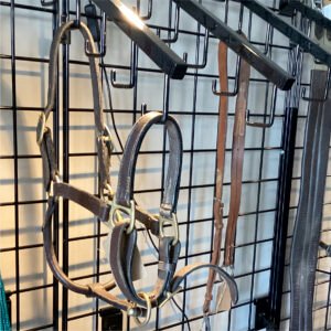 Halter Leather Colt