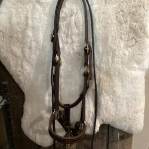 Halter Leather & Lead Line