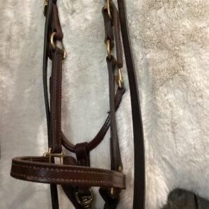 Halter Leather & Lead Line