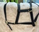 Halter Nylon