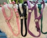 Halter Nylon