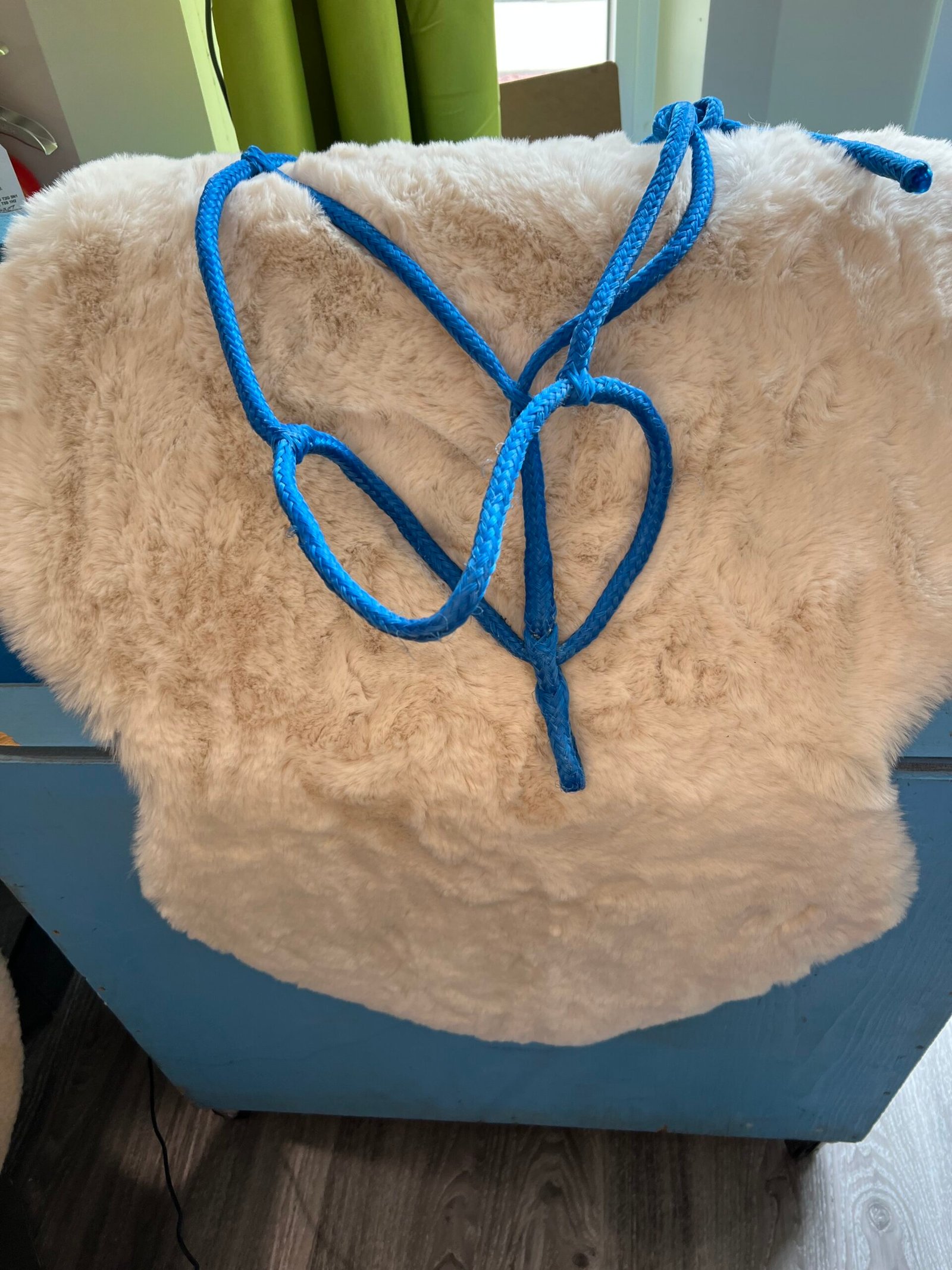 Halter Rope - Blue Halter Rope - Blue
