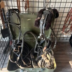 Harness