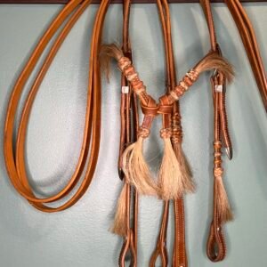Headstall and Reins