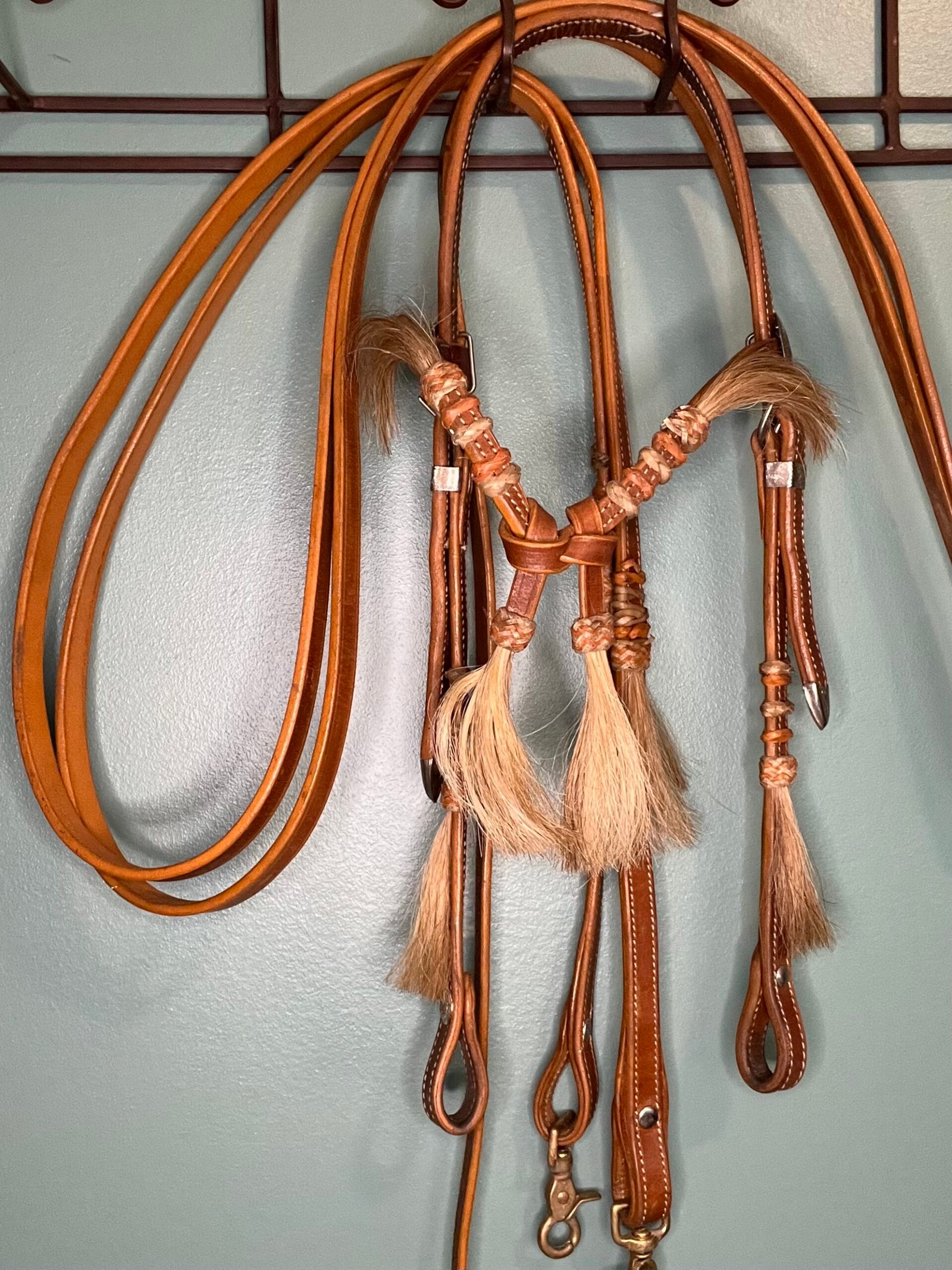 Headstall and Reins Headstall and Reins