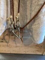 Headstall Reins and Bit