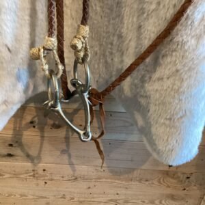Headstall Reins and Bit