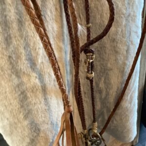 Headstall Reins and Bit