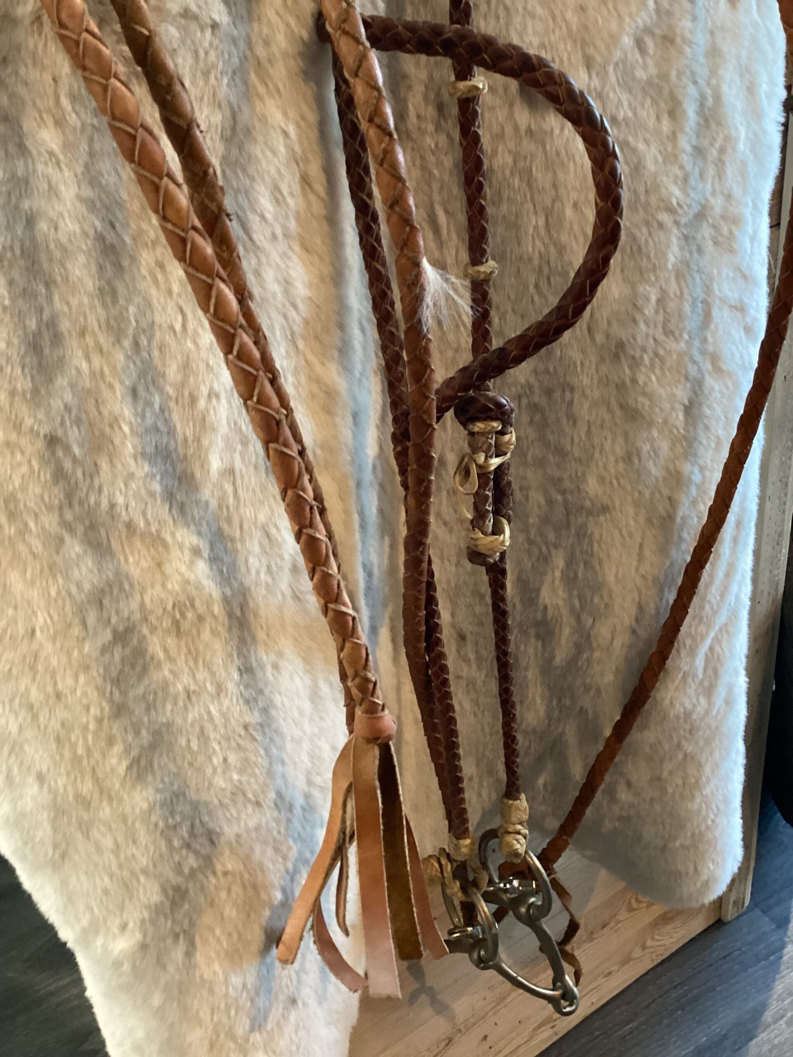 Headstall Reins and Bit Headstall Reins and Bit