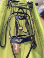 Headstall Reins breast Collar Black Gold