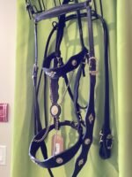 Headstall Reins breast Collar Black Gold