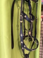 Headstall Reins breast Collar Black Gold