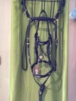Headstall Reins breast Collar Black Gold