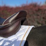 Laura Jump Saddle