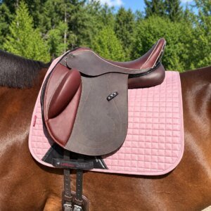 Livingston Dressage Saddle