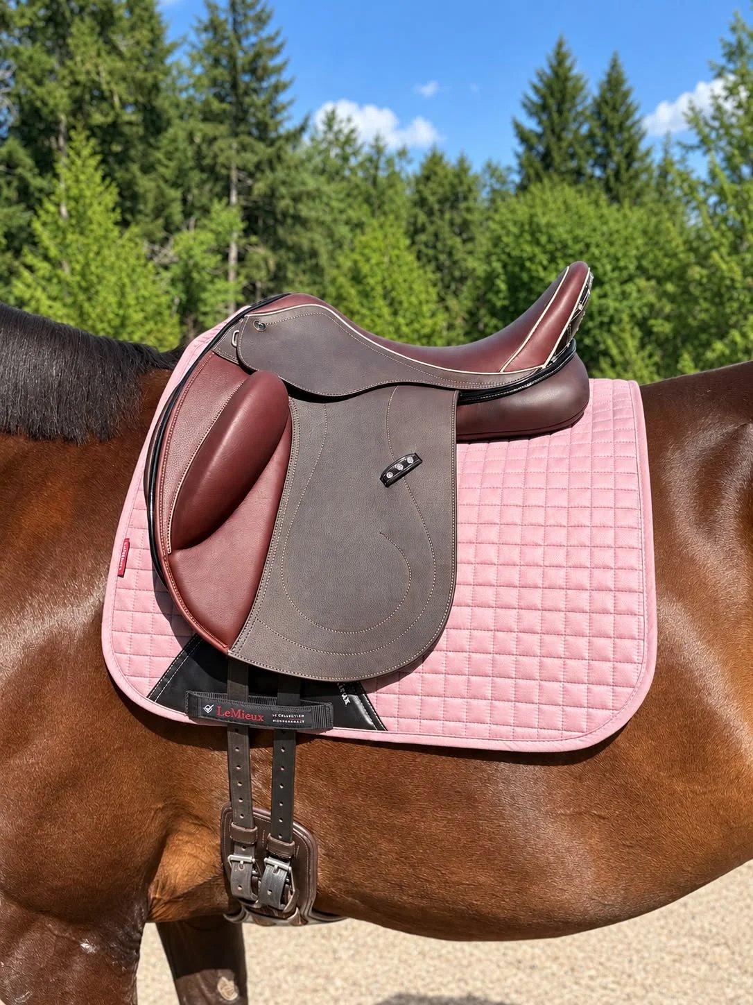 Livingston Dressage Saddle Livingston Dressage Saddle