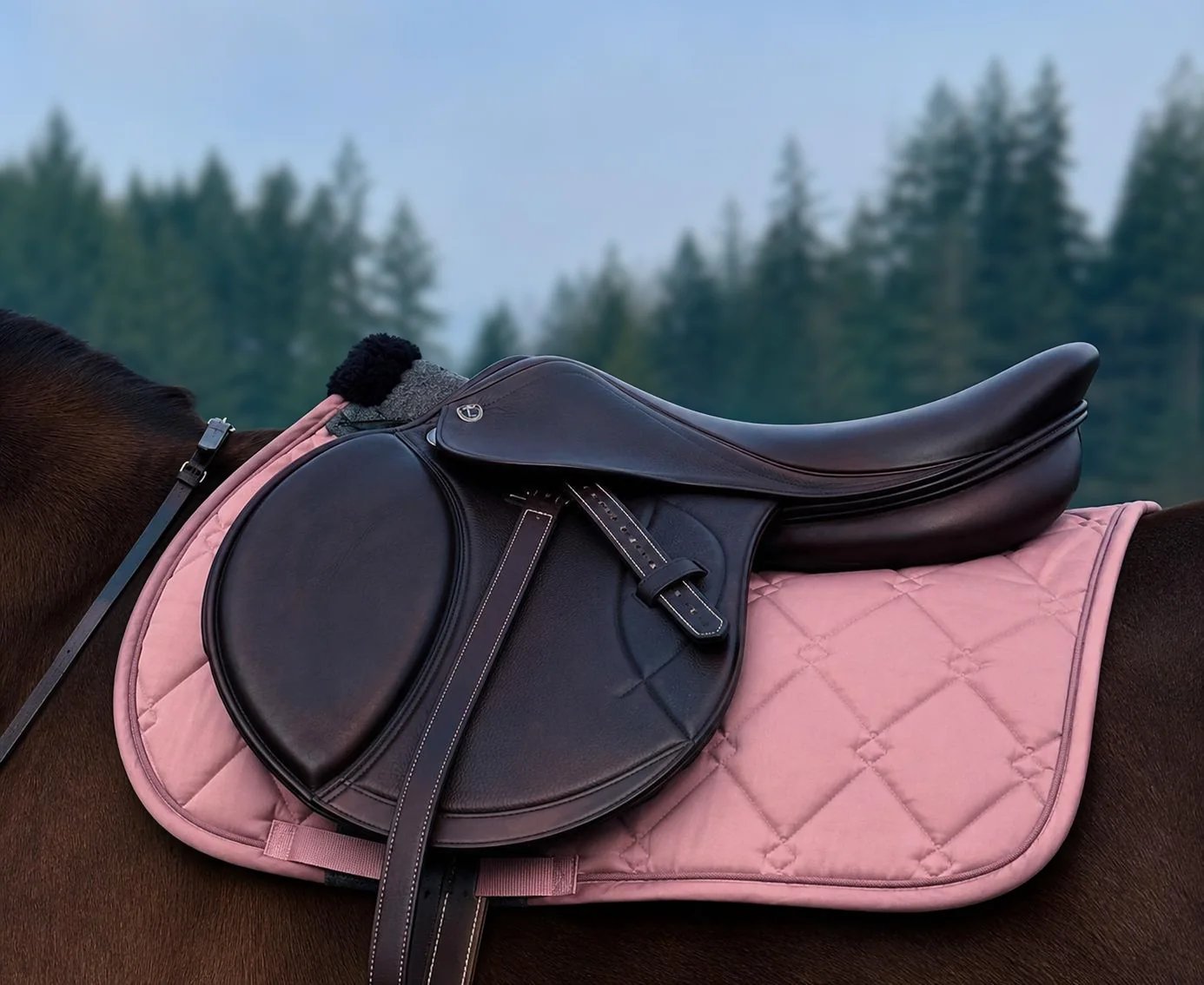 Llórente Jump Saddle Llórente Jump Saddle